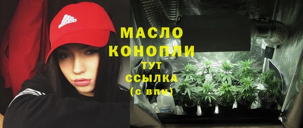 хмурый Верея