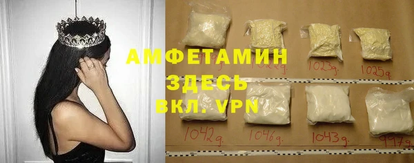хмурый Верея