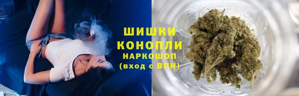 хмурый Верея