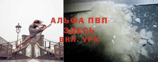 хмурый Верея