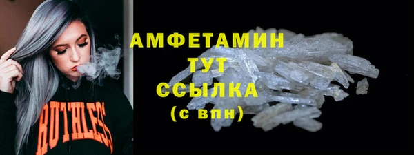 хмурый Верея