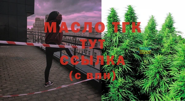 хмурый Верея