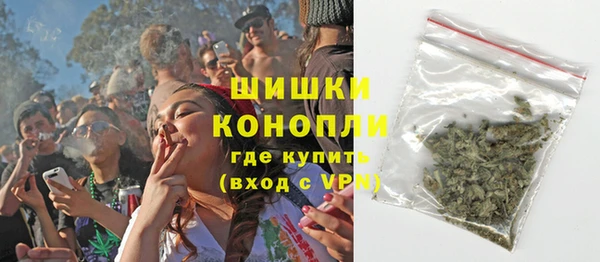 хмурый Верея
