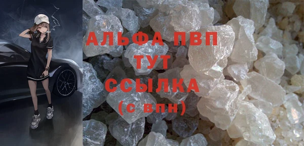 хмурый Верея