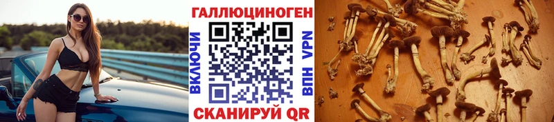 Галлюциногенные грибы прущие грибы  Ирбит 